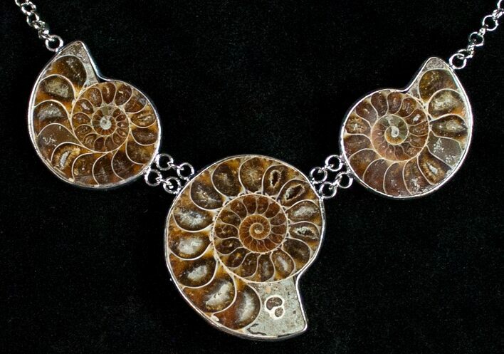 Triple Ammonite Necklace - Million Years Old #11904